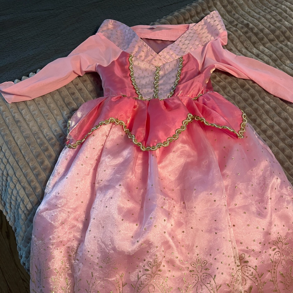Sleeping Beauty Costume